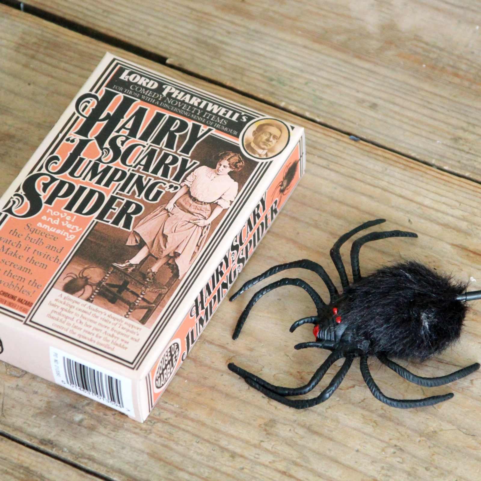 Jumping Spider toy stocking filler