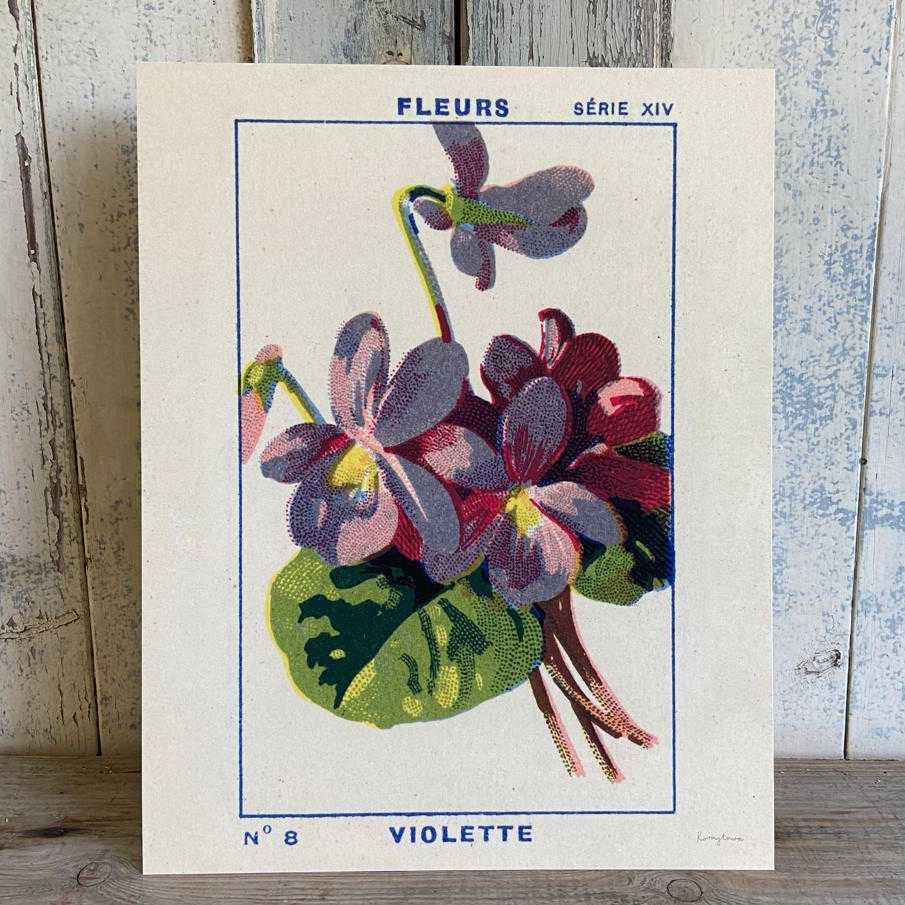 Violette - Violet Fine Art Print