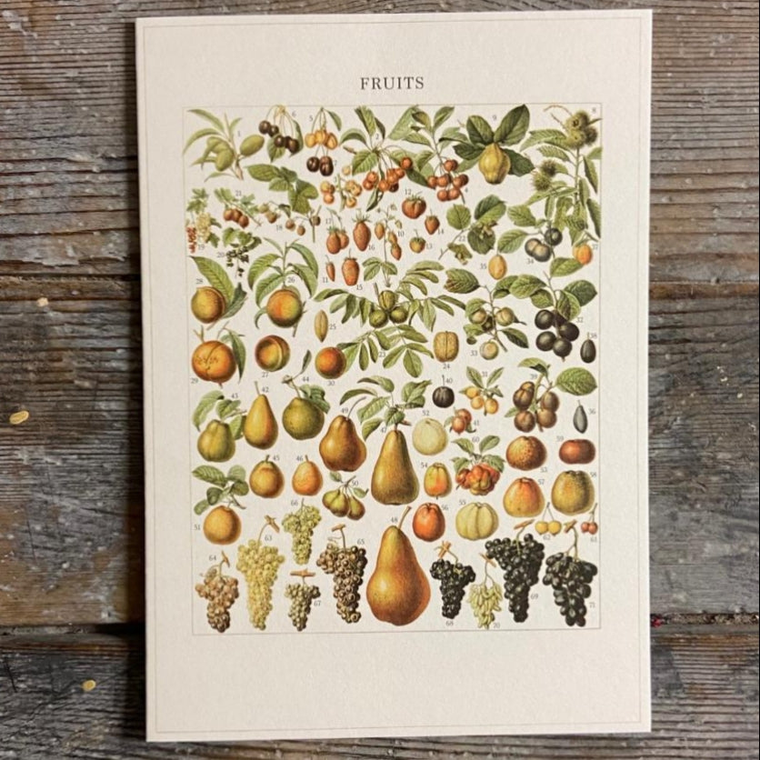 Vintage card 'Fruits'