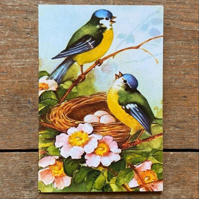 Vintage card with bluetits