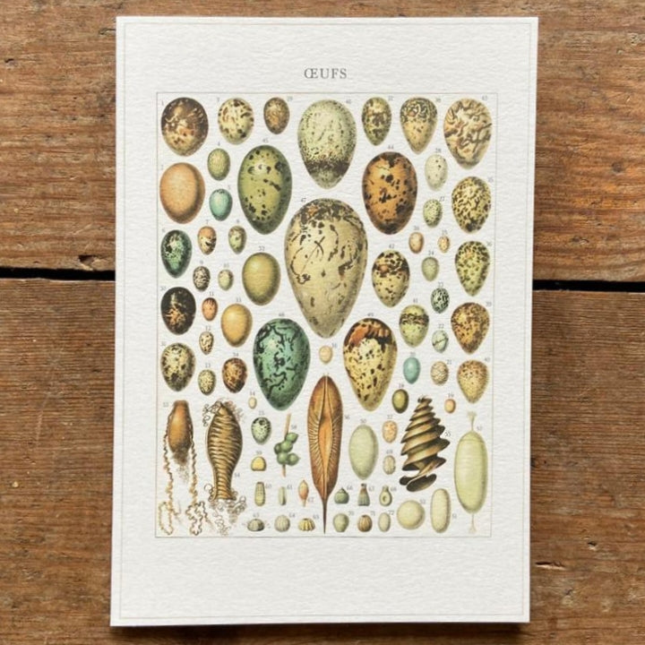 Vintage card 'Eggs'