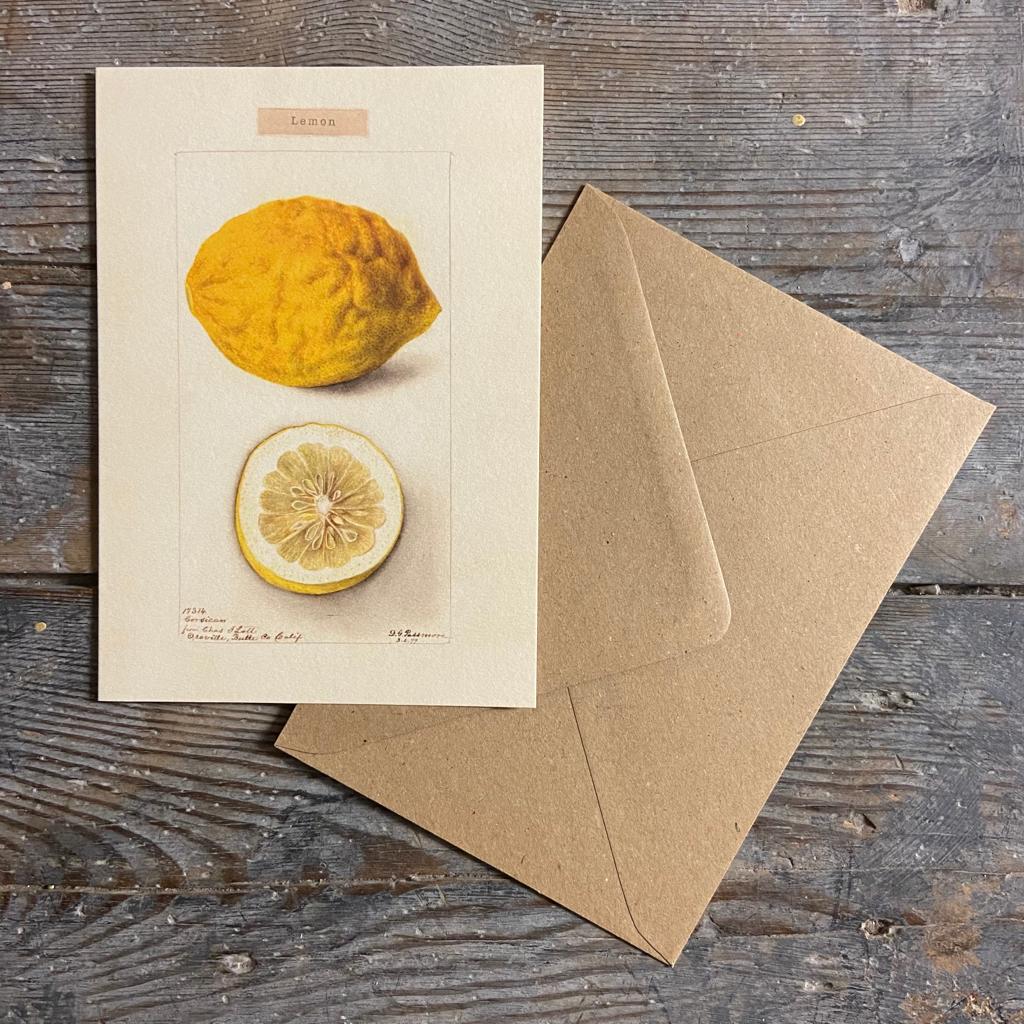Vintage Card 'Lemon' with envelope