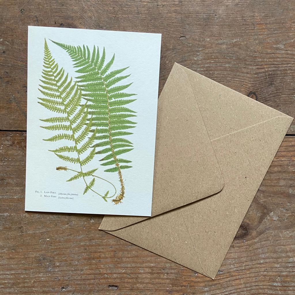 Vintage card fern by Francis George Heath with envelope