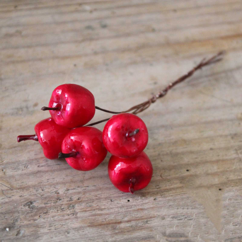 Red apples on wire