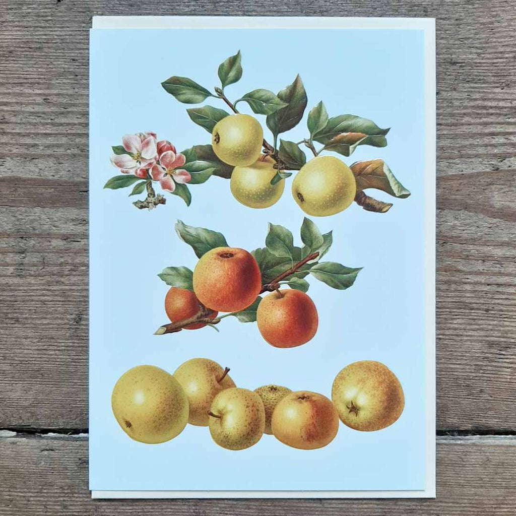 Autumn apples vintage card