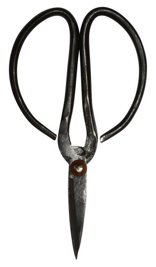 Black Shears - Homeware Store