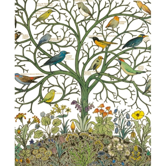 Greeting Card - Birds of Many Climes