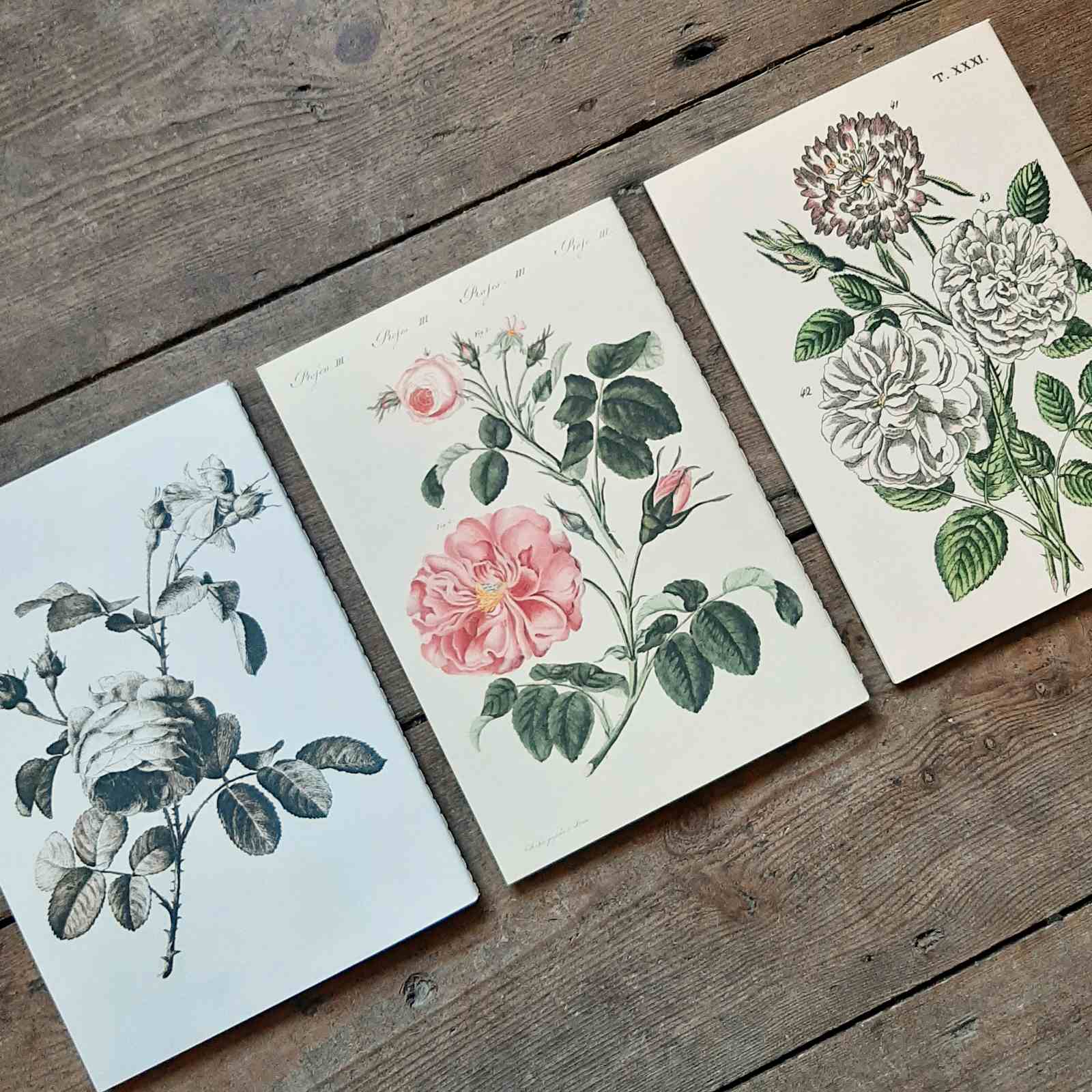 Set of Three Notebooks - Everything Roses