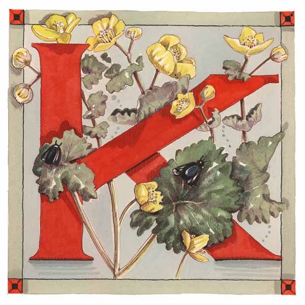 Vintage Card with Botanical Alphabet letter K