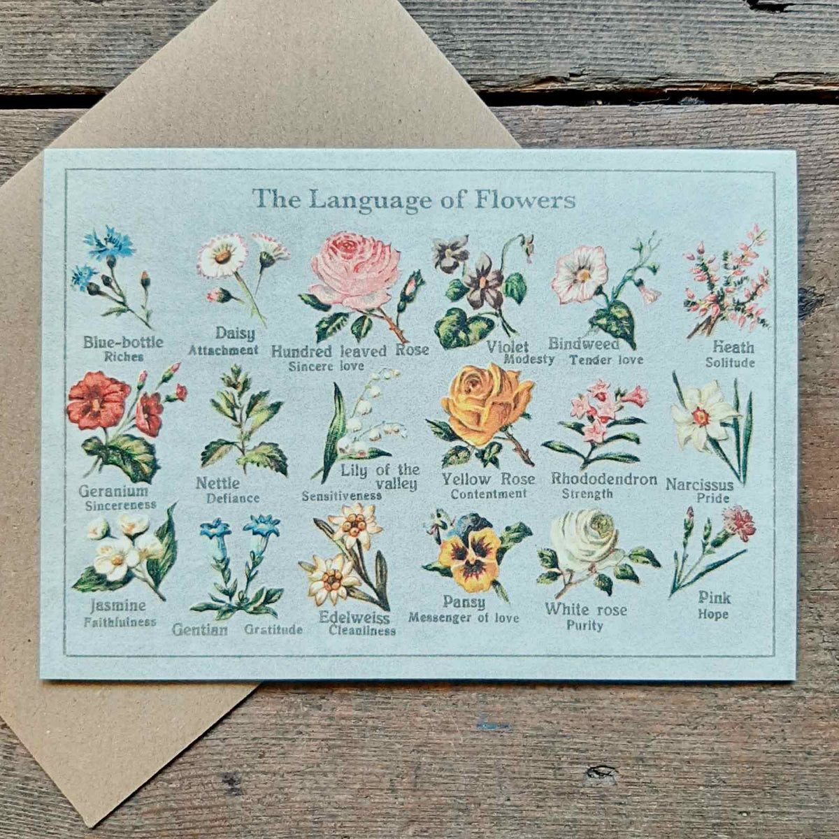 Language of Flowers Vintage Card – Closet & Botts