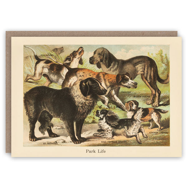 Vintage card 'Park Life' detail