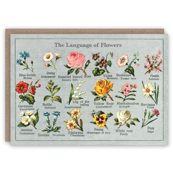 Greeting Card - Language of Flowers 