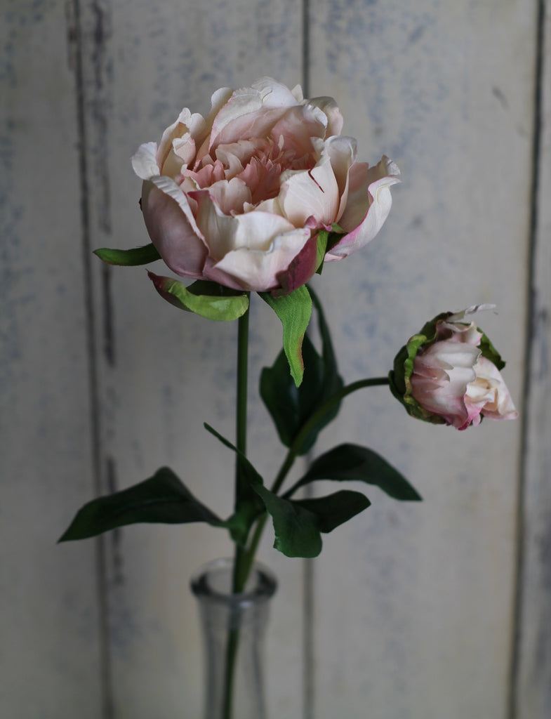 Silk flowers - Peony with bud - Homeware Store