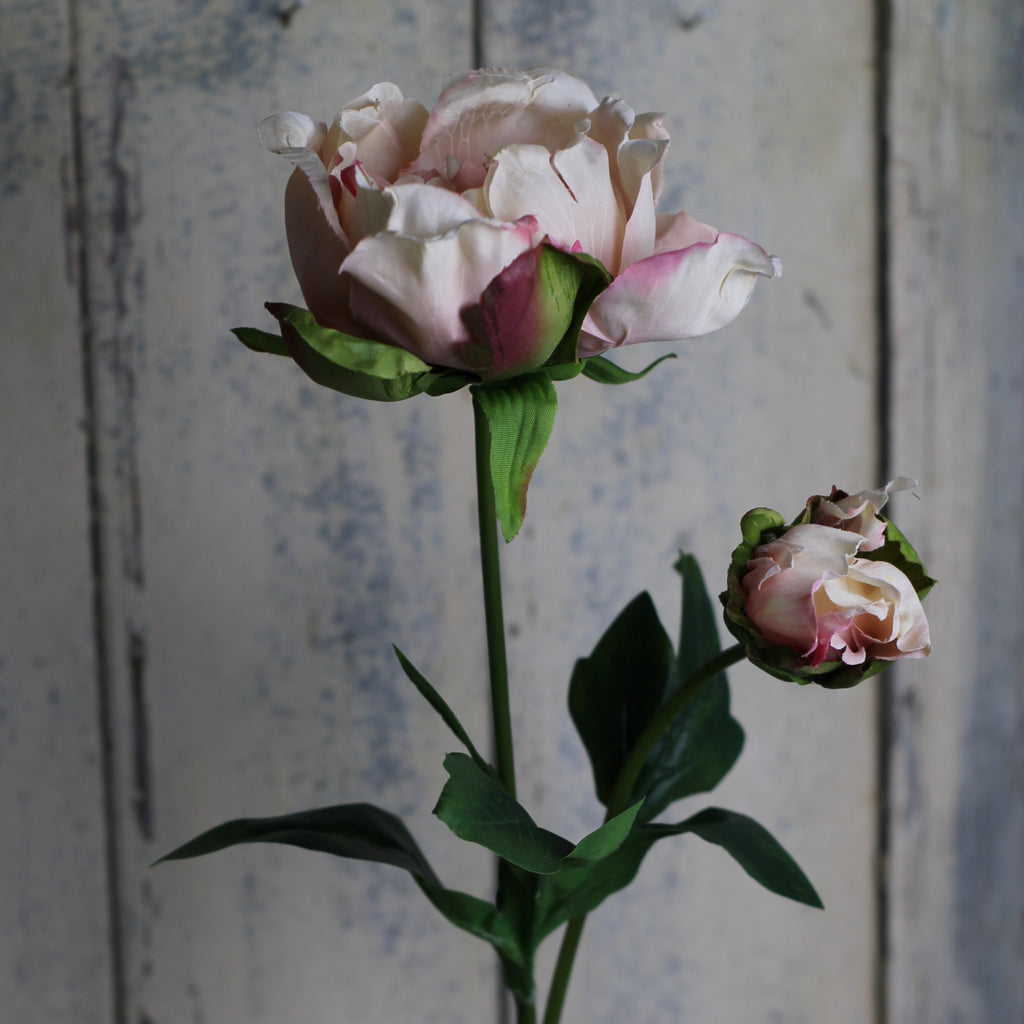 Silk flowers - Peony with bud - Homeware Store
