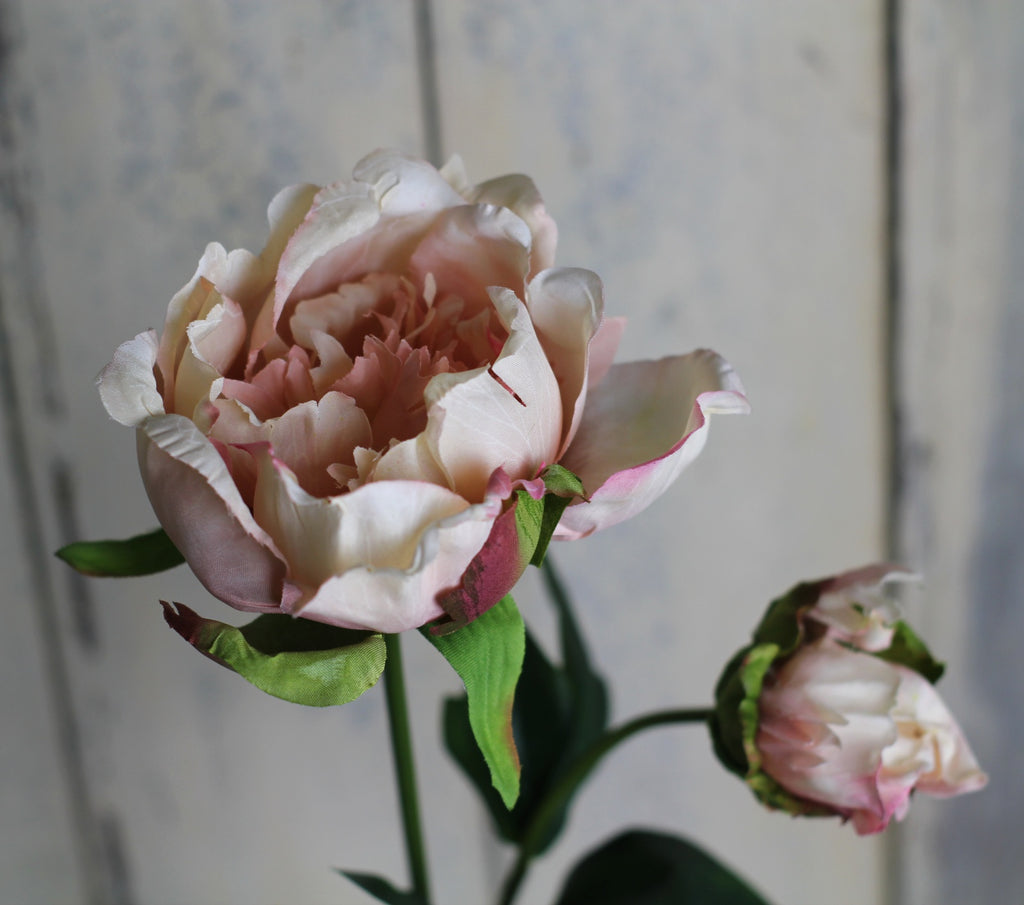 Silk flowers - Peony with bud - Homeware Store