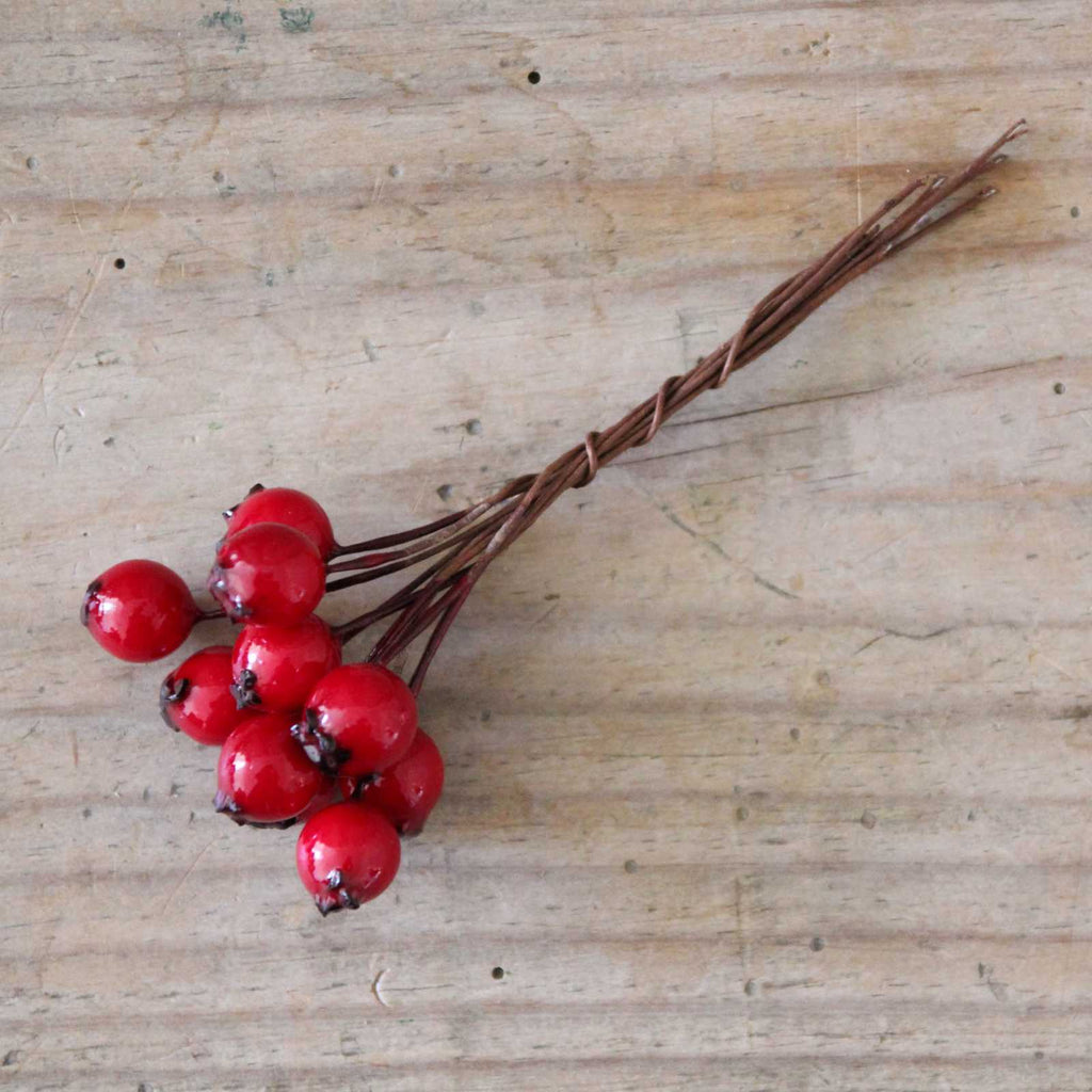 Red Berries on wire