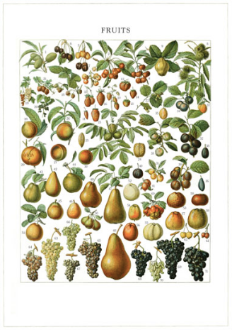 Vintage card 'Fruits' detail