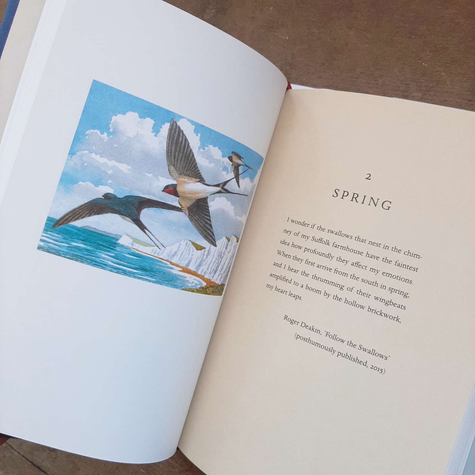 The Swallow: A Biography