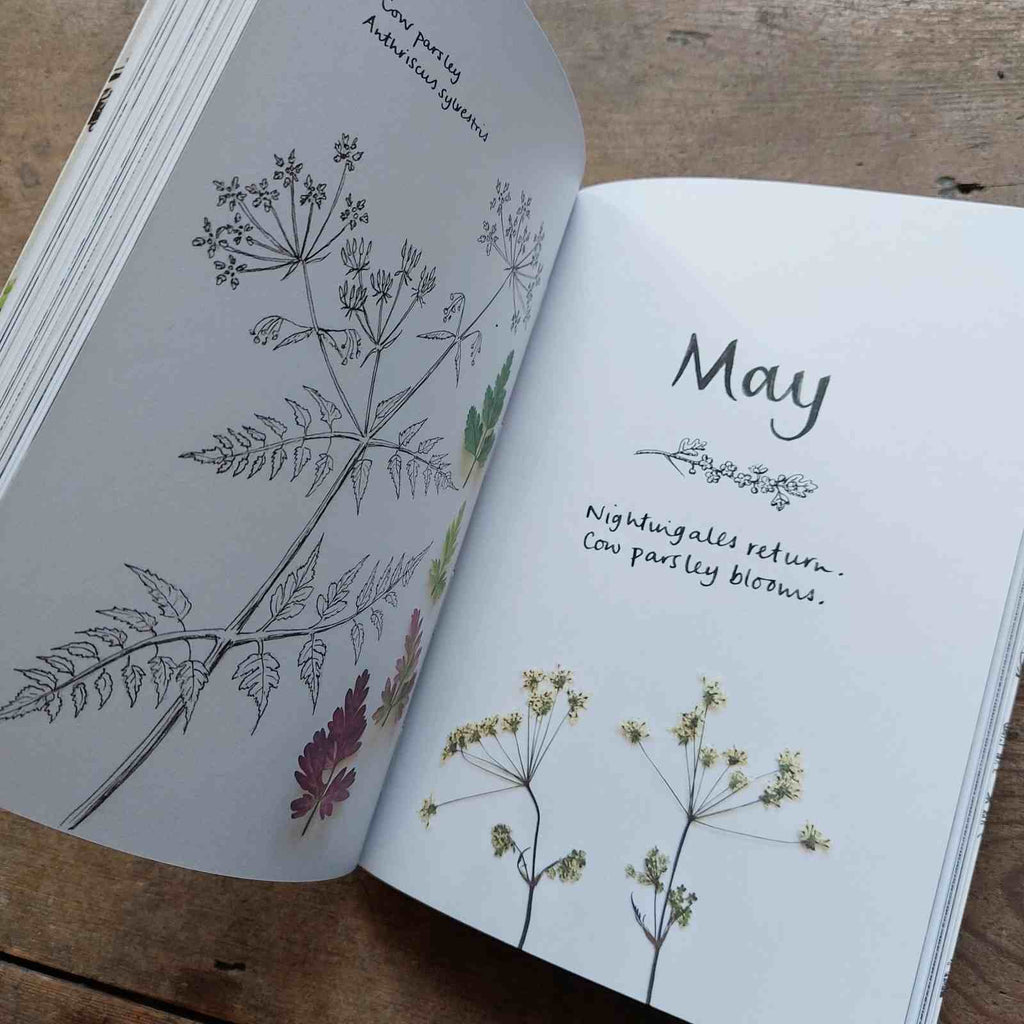 The Wild Remedy - Emma Mitchell