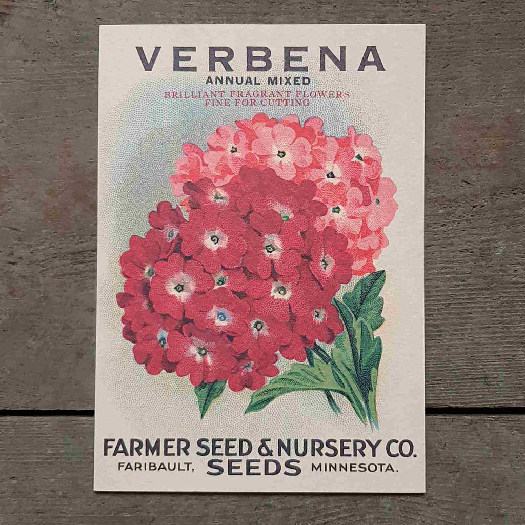 Verbena Greeting Card - beautiful reproduction of a vintage seed packet Blank inside, white envelope