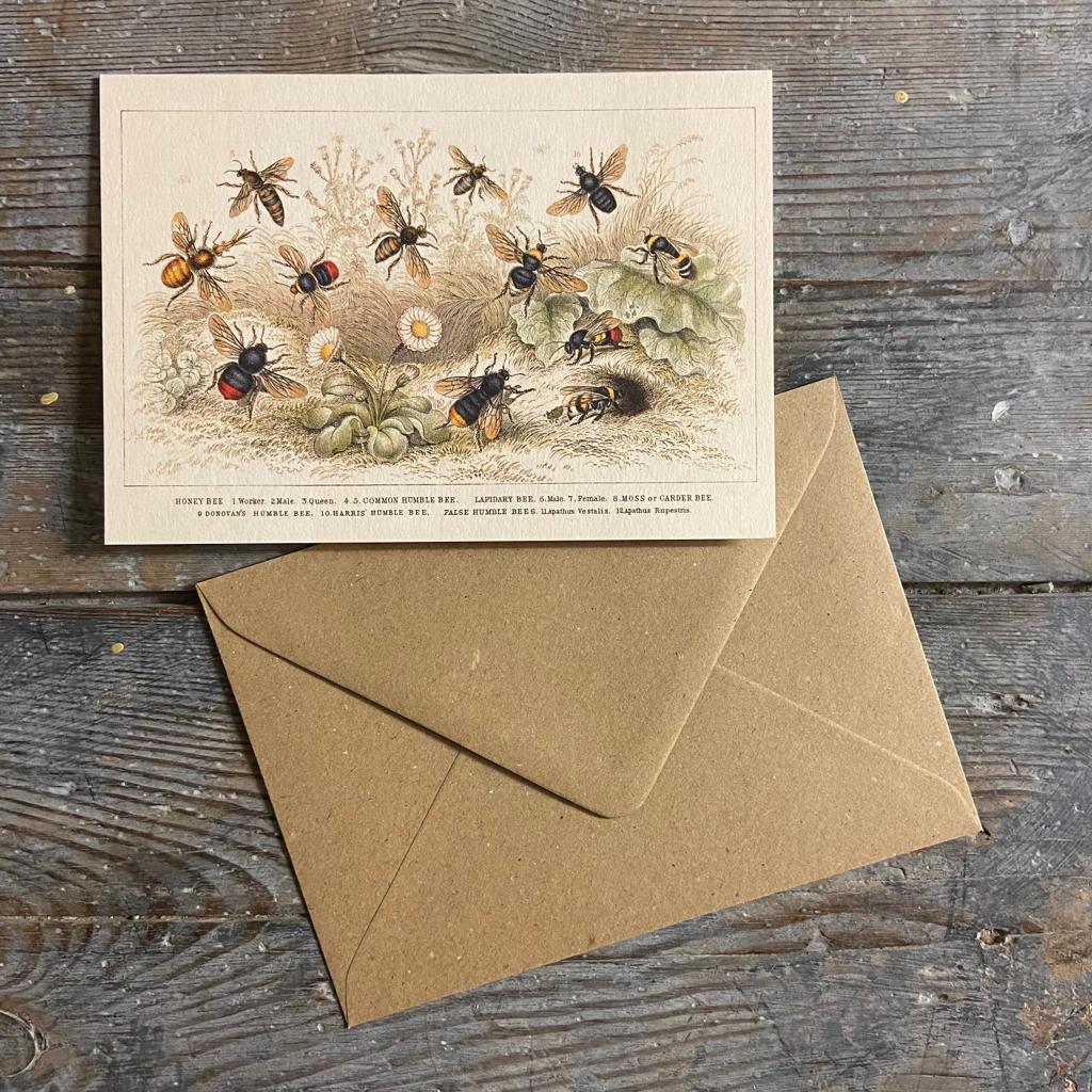 Vintage card 'Honey Bee' with envelope