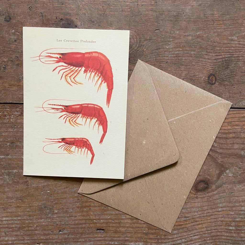 Vintage card 'Crevettes' with envelope