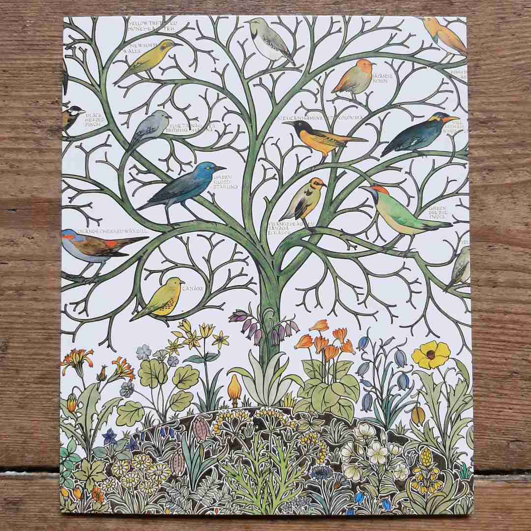Birds of many climes vintage card 