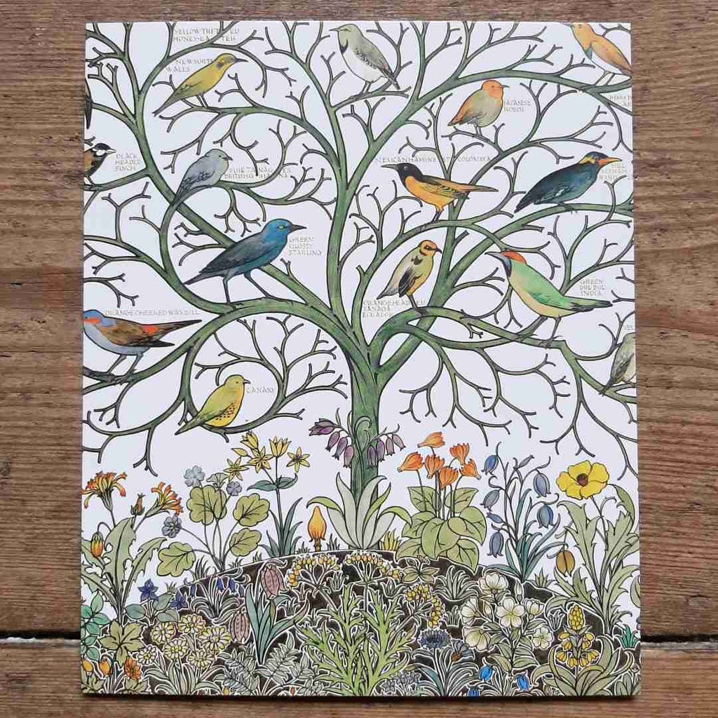 Birds of many climes vintage card 
