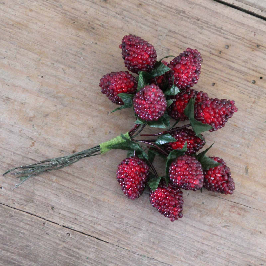 Blackberry Pick, lovely for an Autumn posy, wreath or garland