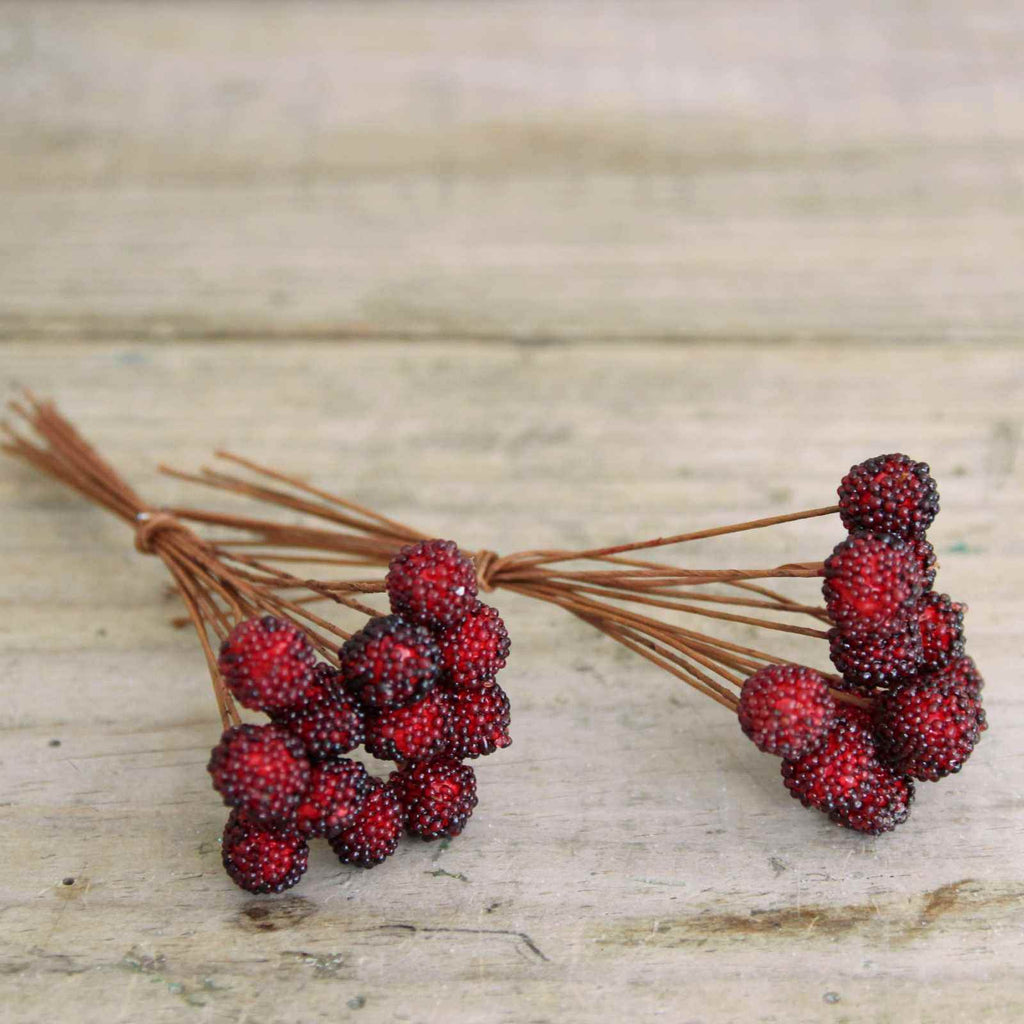 Mini Blackberries on wire