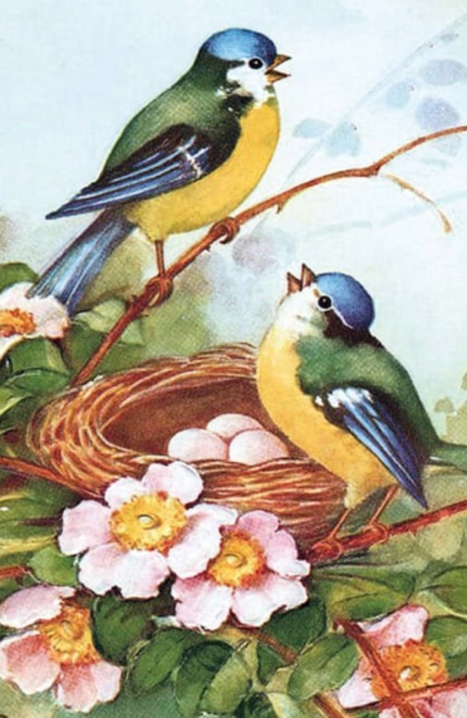 Vintage card with bluetits detail