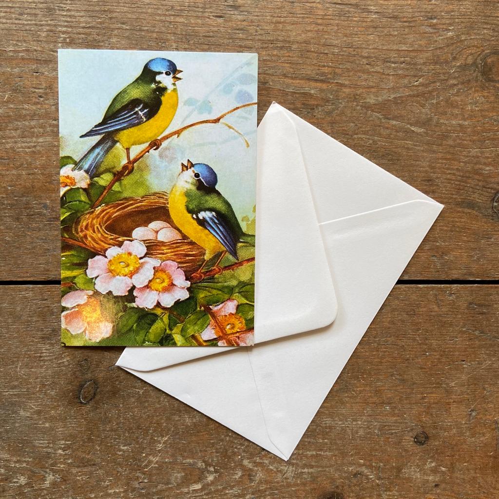 Vintage card with bluetits with envelope
