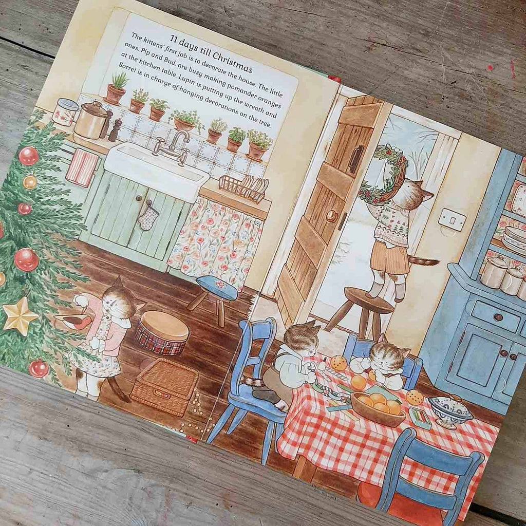 Cat Family Christmas - A lift-the-flap Advent Book
