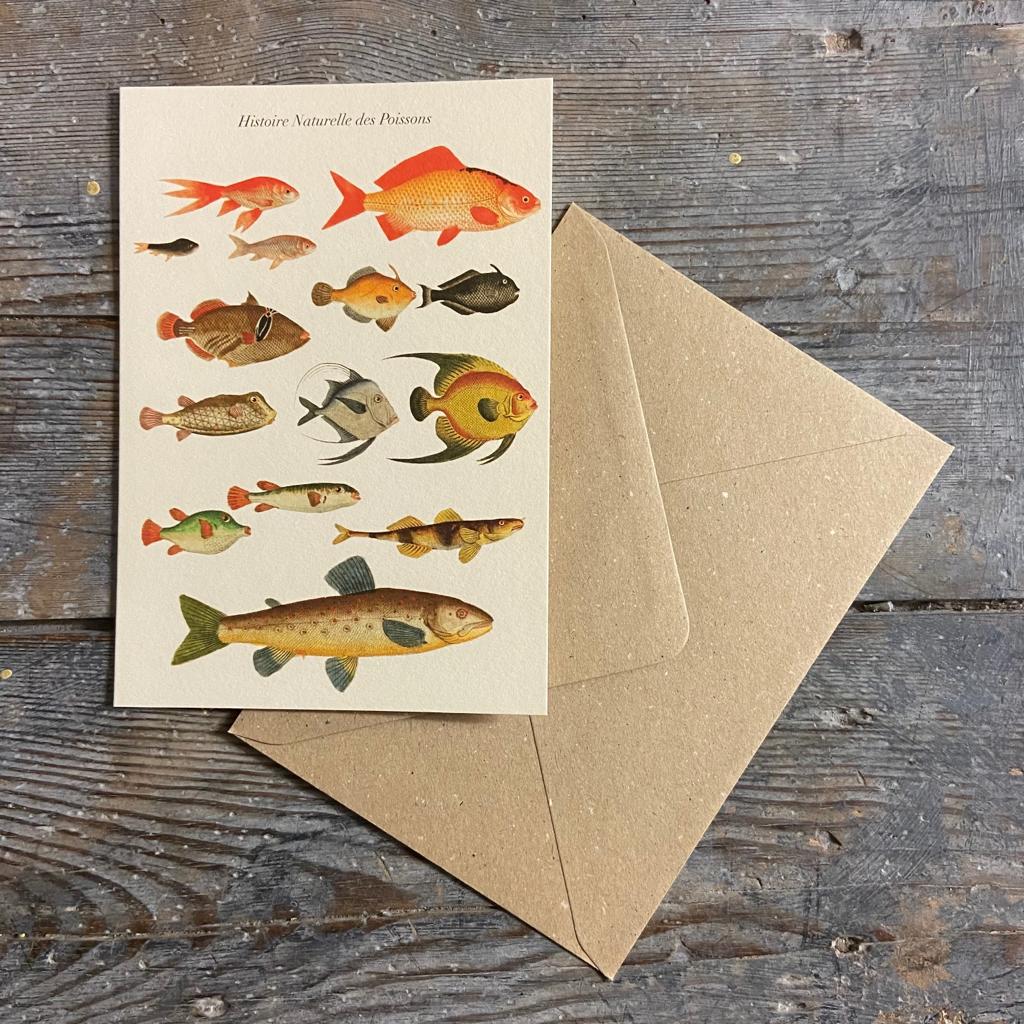 Vintage card 'History of Fish' with envelope