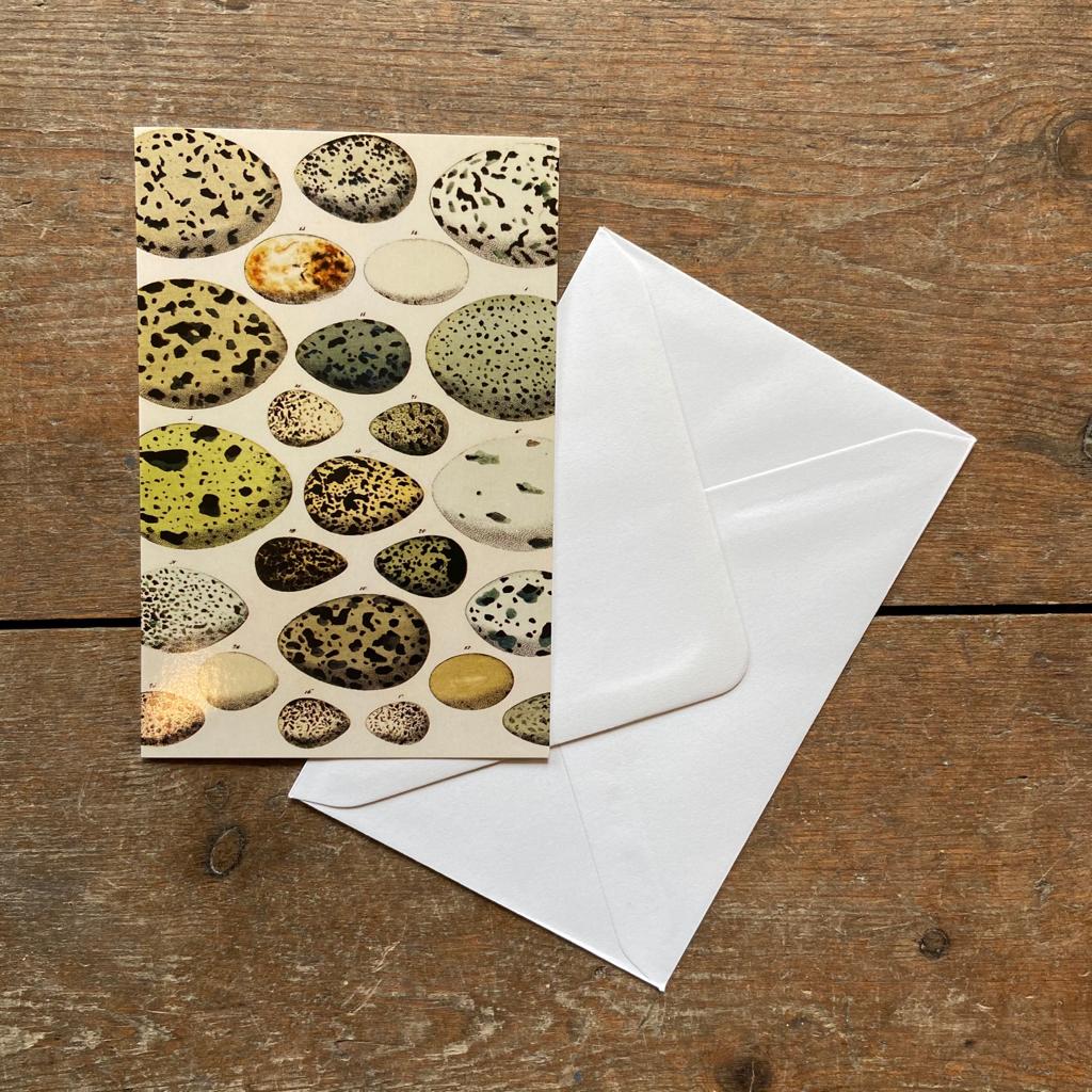 Vintage card with egg illustration with envelope