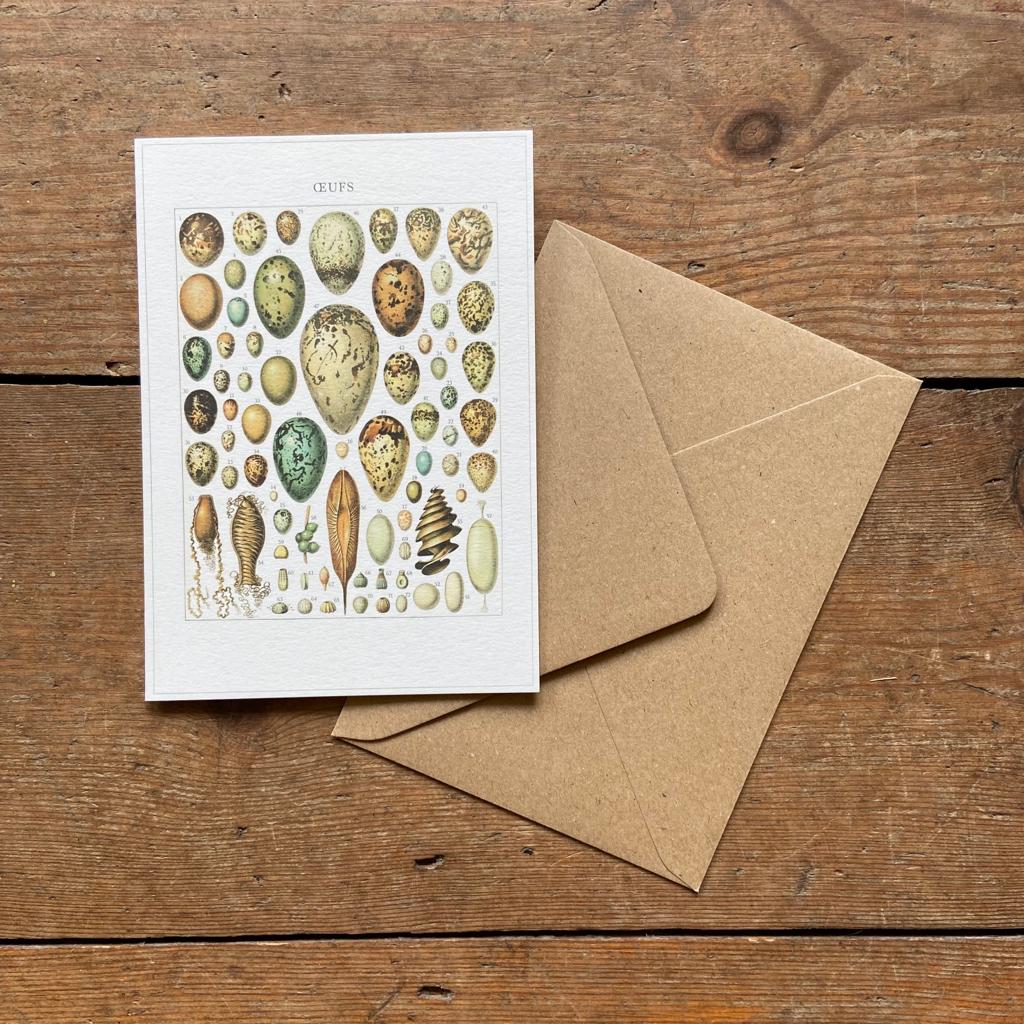 Vintage card 'Eggs' with envelope