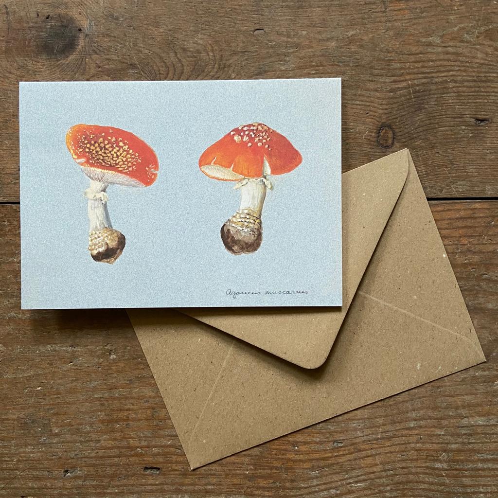 Vintage card The Toadstool botanical drawing with envelope