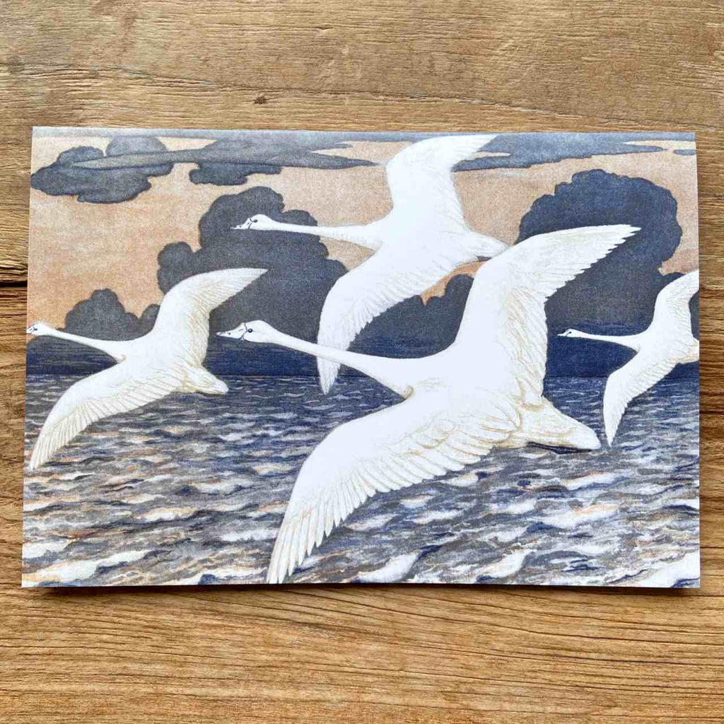 Swans in Flight Vintage Greeting Card