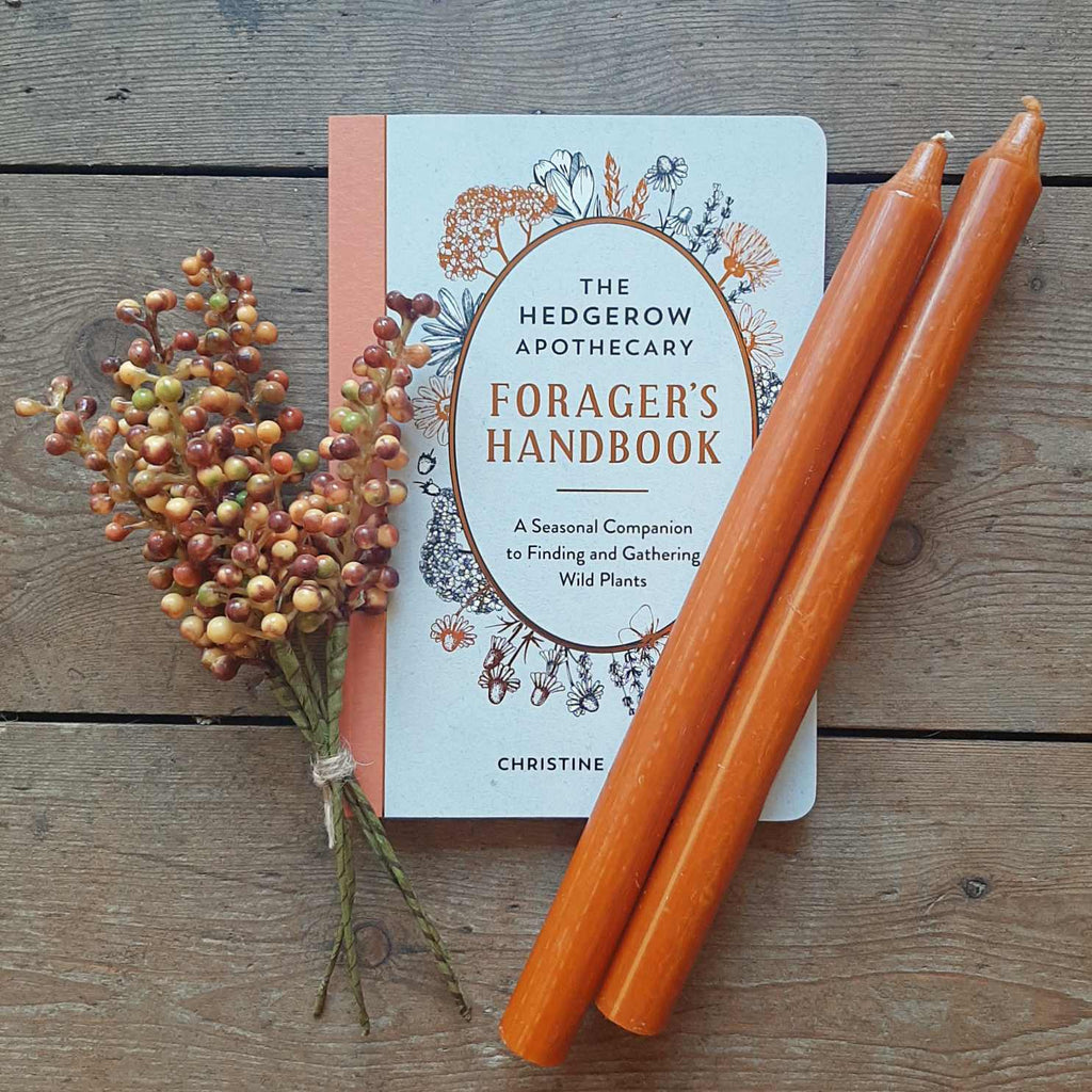The perfect Gift - The Hedgerow Apothecary Forager's Handbook: A Seasonal Companion to Finding and Gathering Wild Plants with Burnt Orange dinner candles and Autumn Berries