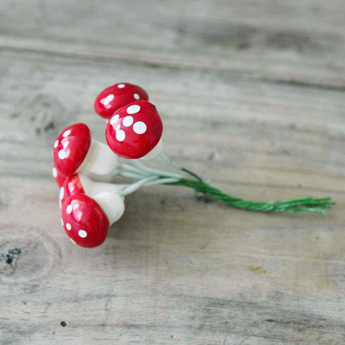 Mini Toadstool Bundle | Closet & Botts