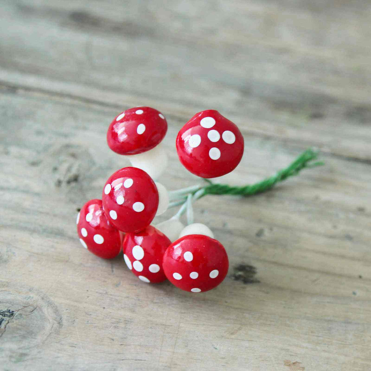 Mini Toadstool Bundle – Closet & Botts