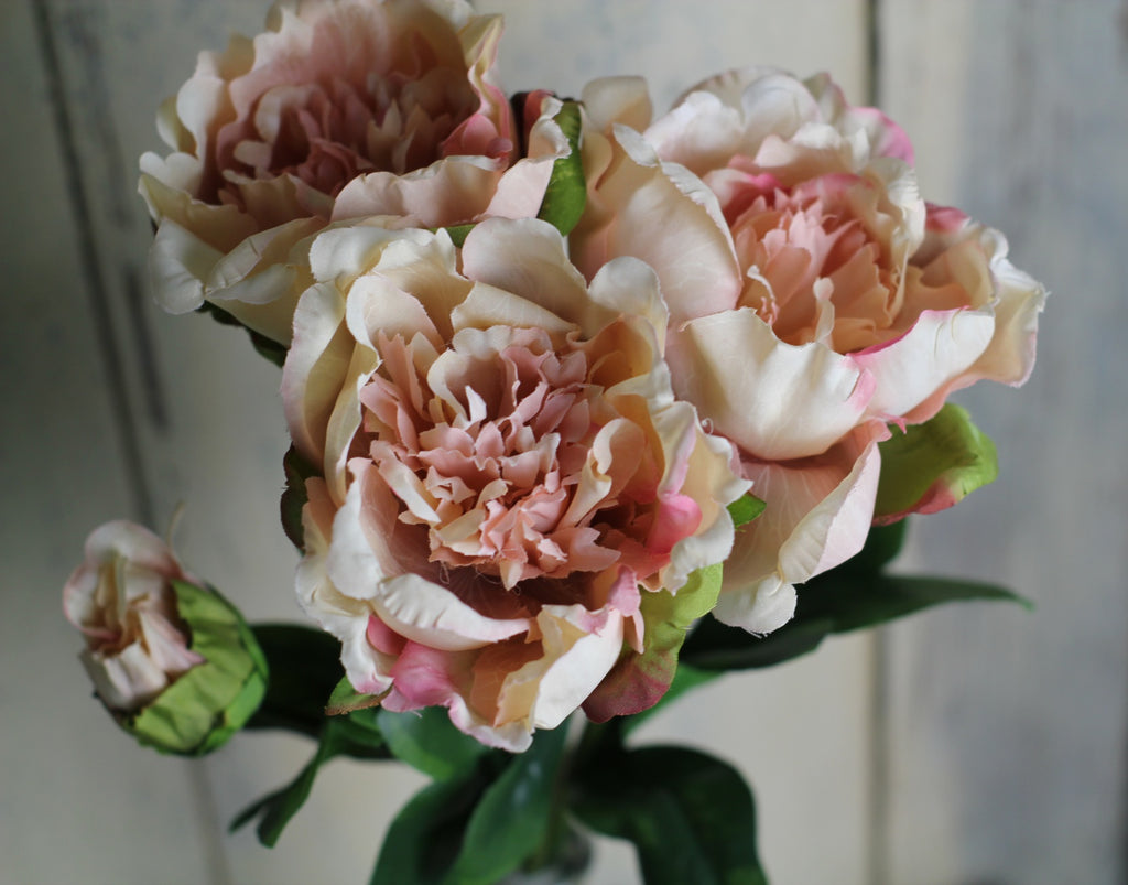 Silk flowers - Peony with bud - Homeware Store