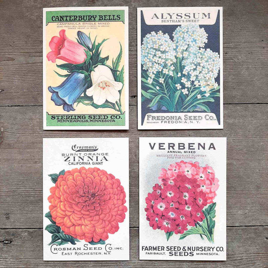 beautiful reproduction of a vintage seed packet greeting card  - Zinnia, Alyssum, Verbena and Canterbury Bells