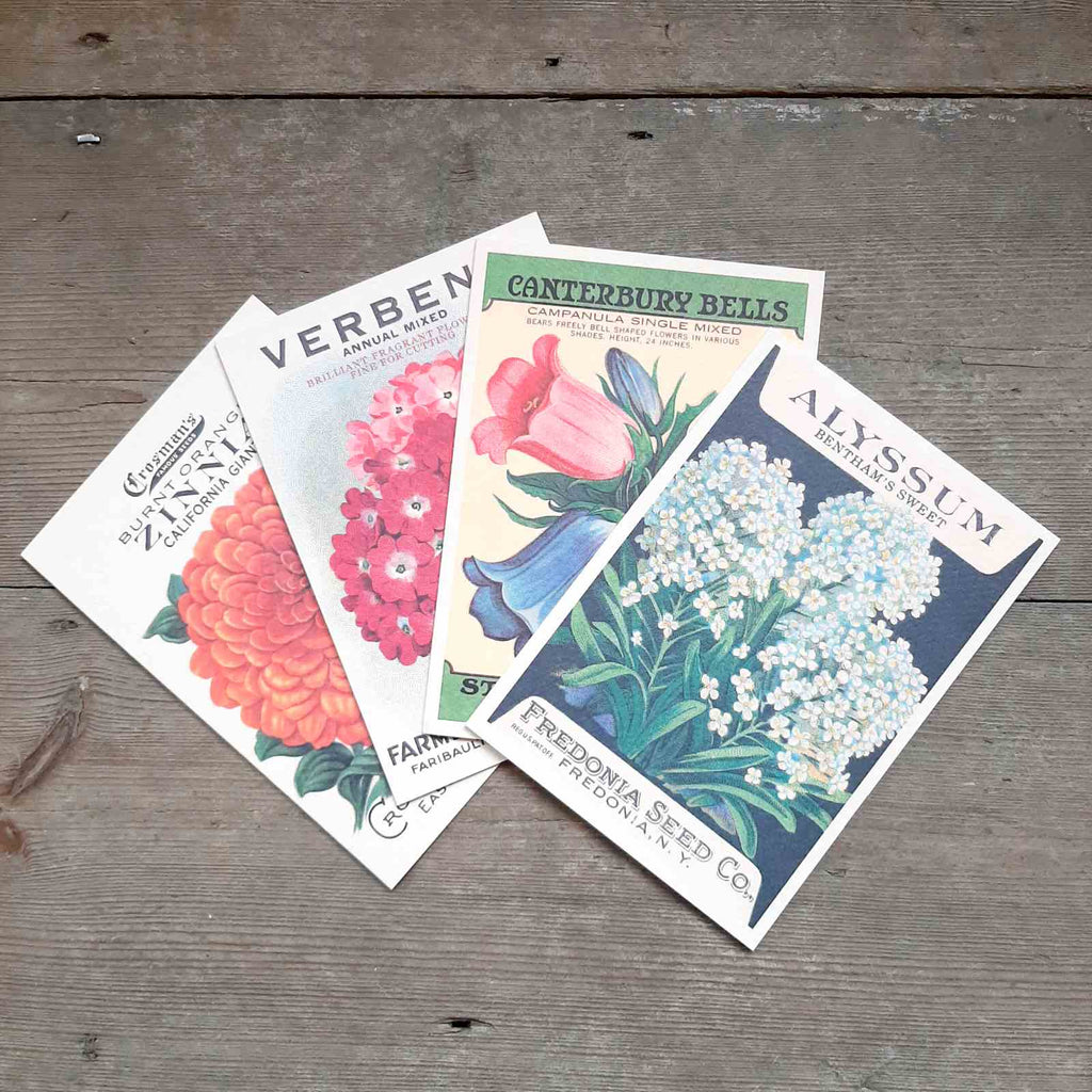 beautiful reproduction of a vintage seed packet greeting card  - Zinnia, Alyssum, Verbena and Canterbury Bells