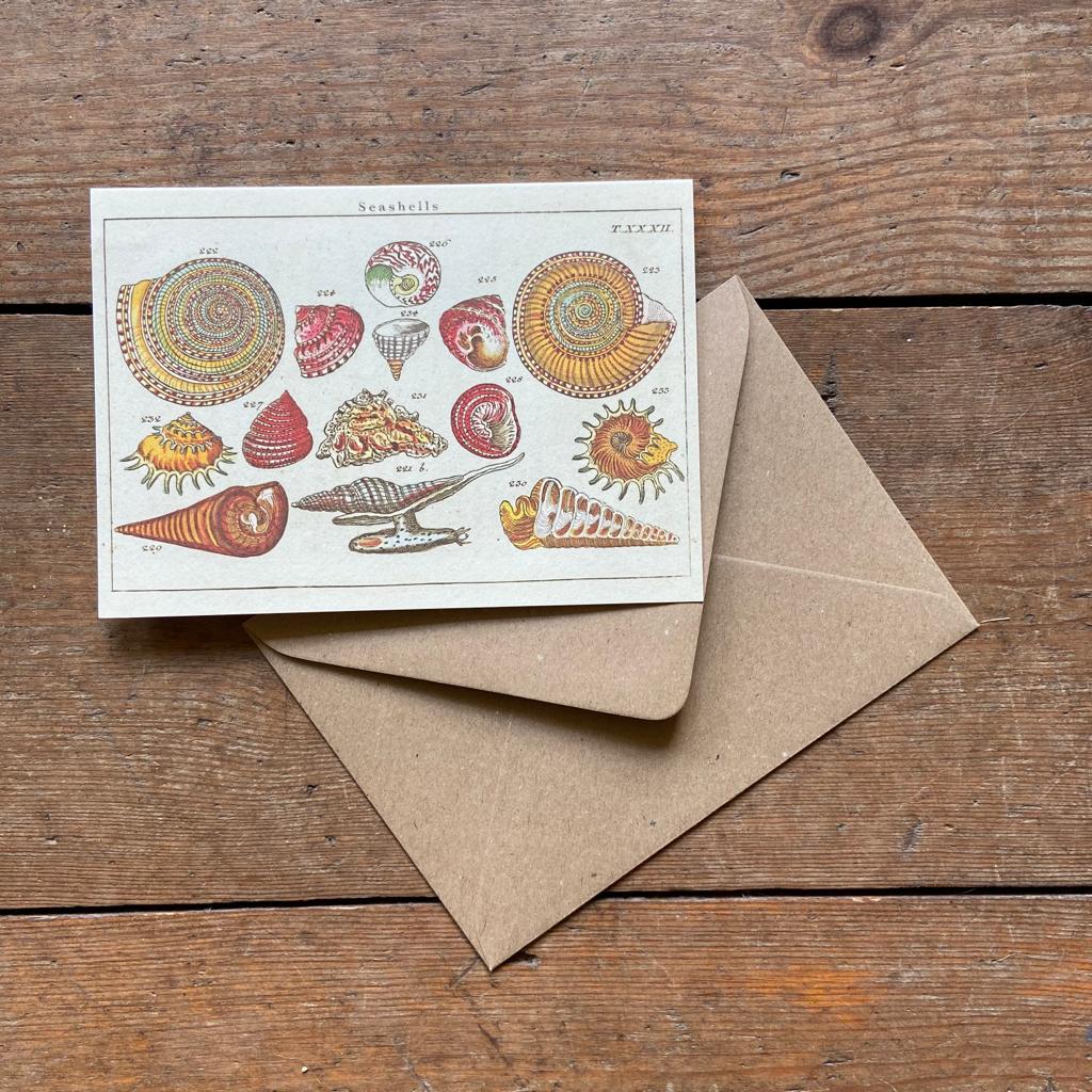 Vintage card 'Seashells' with envelope