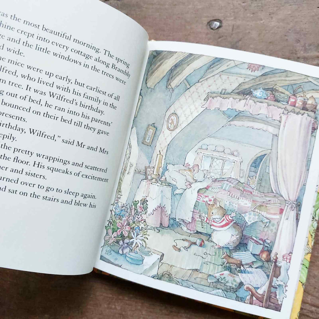 Brambly Hedge - Spring Story