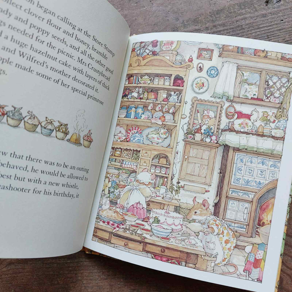 Brambly Hedge - Spring Story