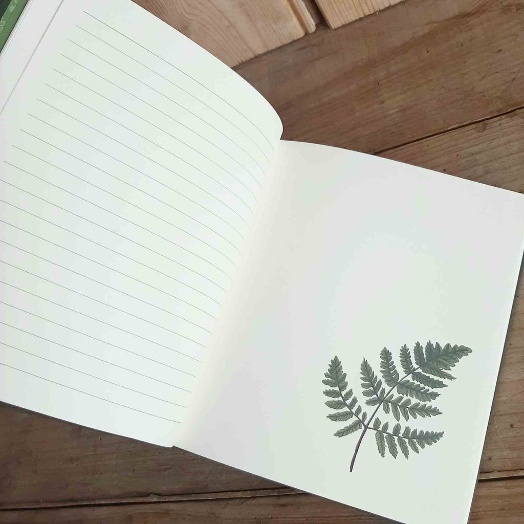 Woodland Journal